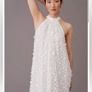 Eva Franco- Halter Swing Dress